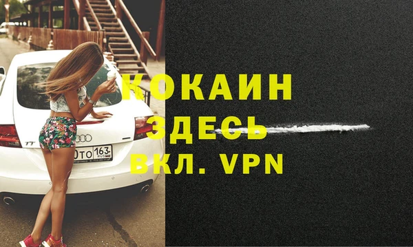 прущие грибы Корсаков