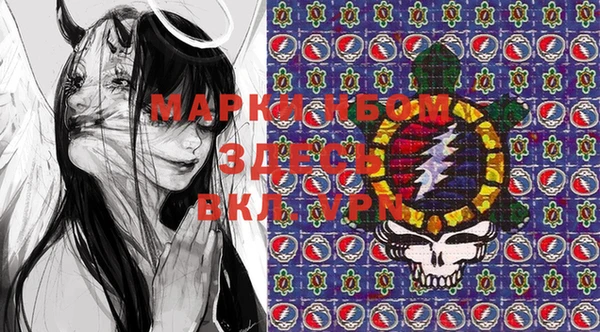 прущие грибы Корсаков