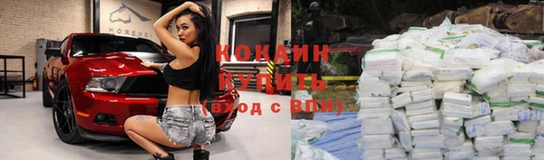 прущие грибы Корсаков