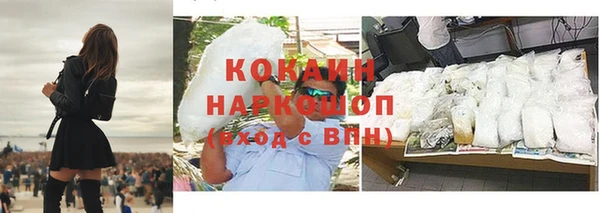 прущие грибы Корсаков
