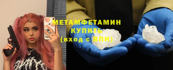 прущие грибы Корсаков