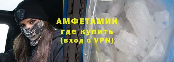 прущие грибы Корсаков