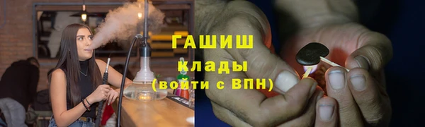прущие грибы Корсаков