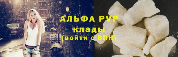 прущие грибы Корсаков