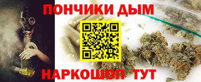 гашик Можга