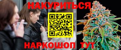 гашик Можга
