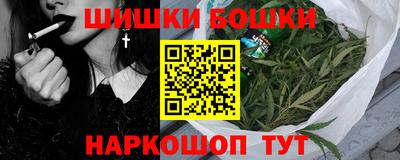 гашик Можга