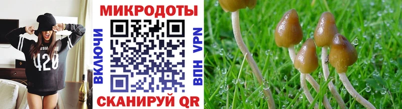 ссылка на мегу онион  Семилуки  Галлюциногенные грибы MAGIC MUSHROOMS 